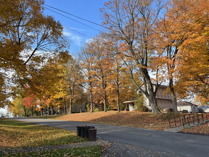 Gaines - Oct 23 2022 Photo (newer photo)